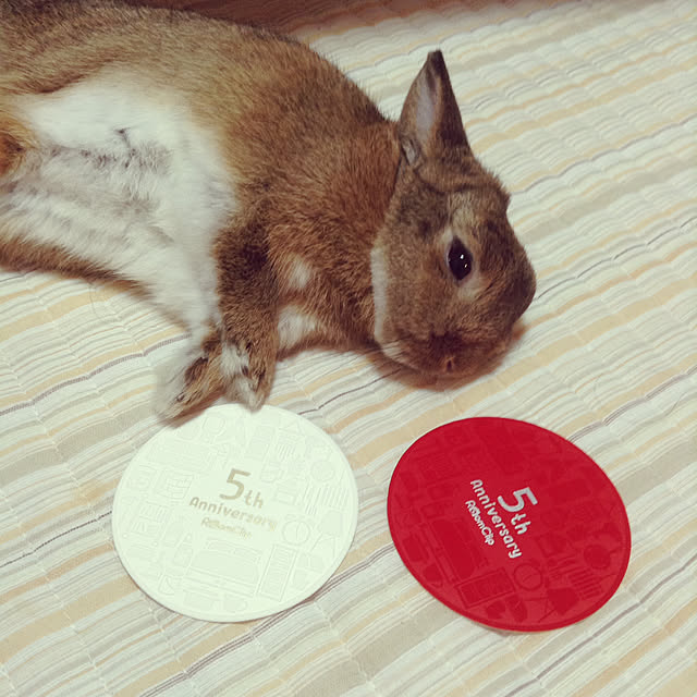 yuzu0223さんの実例写真