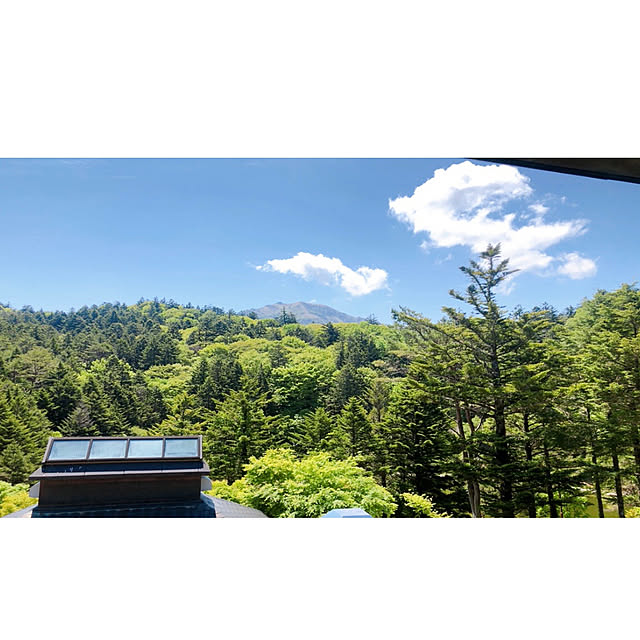 実例写真