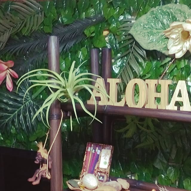 chayさんの実例写真