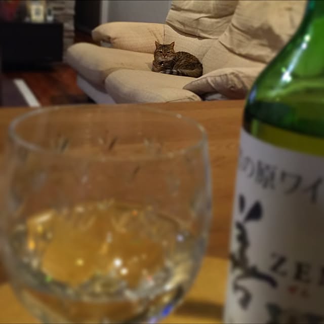 meloさんの実例写真