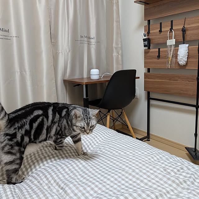 lovepeaceさんの部屋
