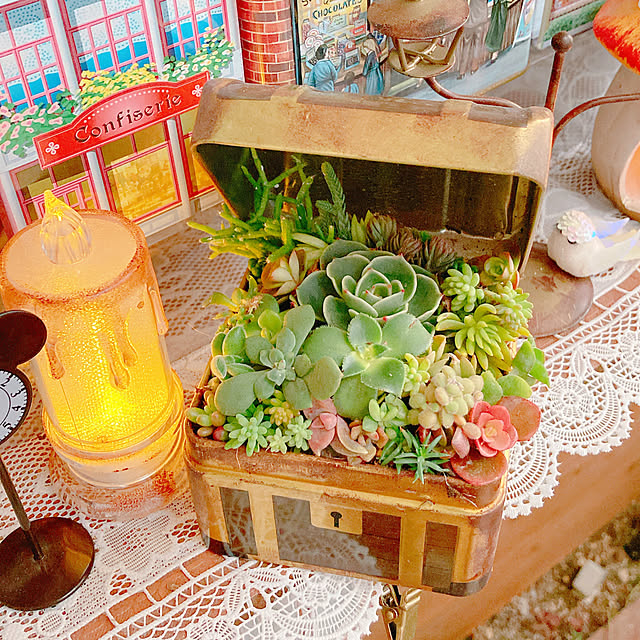 Hanakaさんの部屋