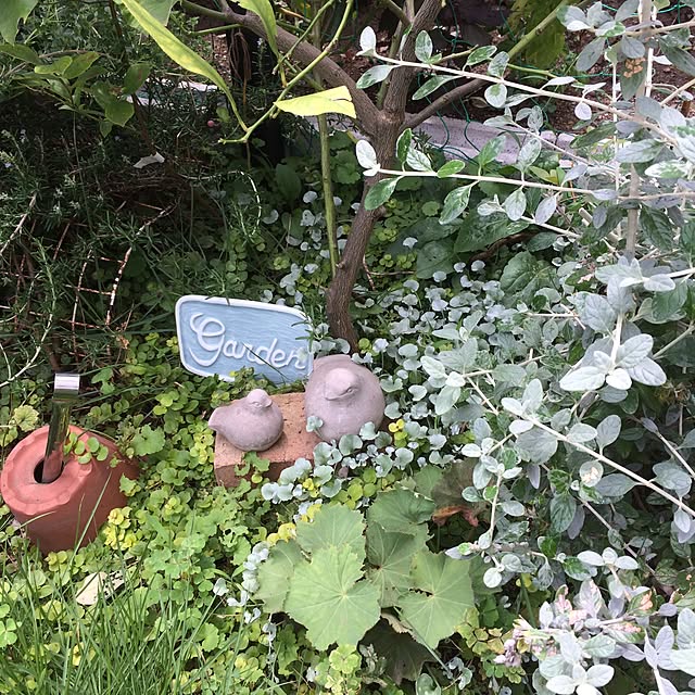 yukkoさんの実例写真