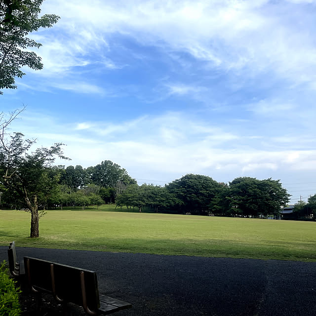 Ohigeさんの部屋