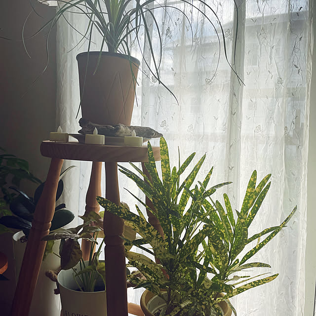 nattunさんの部屋