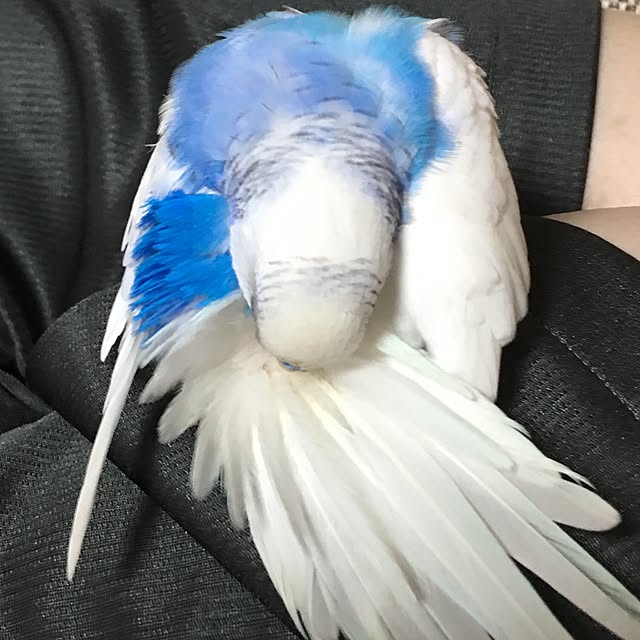 natalieさんの実例写真