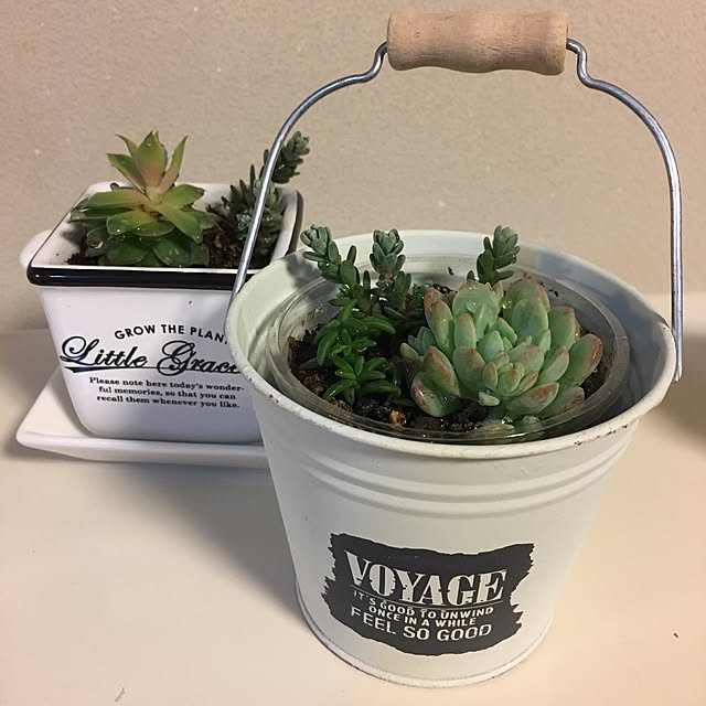 棚/多肉植物のインテリア実例 - 2017-05-05 06:01:19