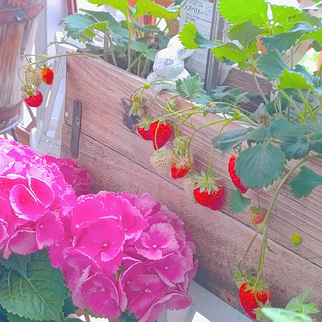 mariaさんの実例写真