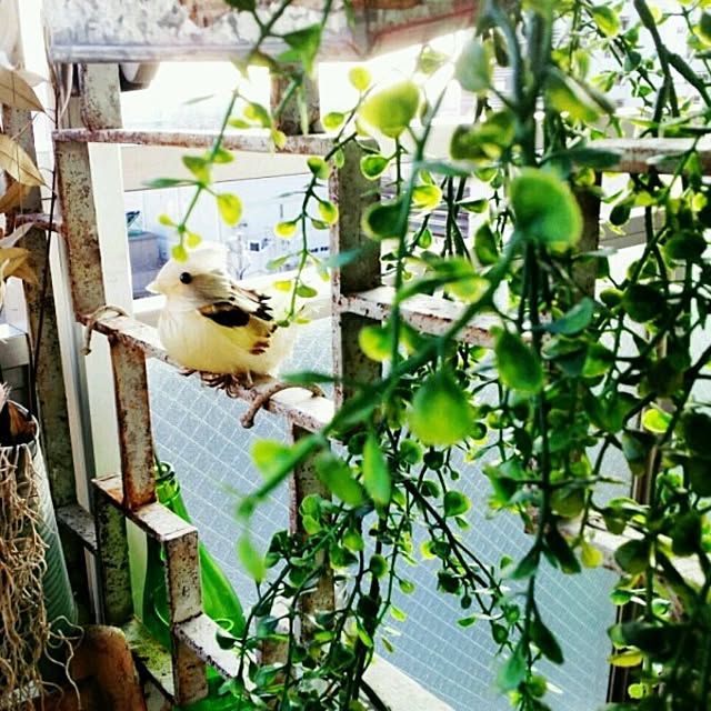 megu-iさんの実例写真