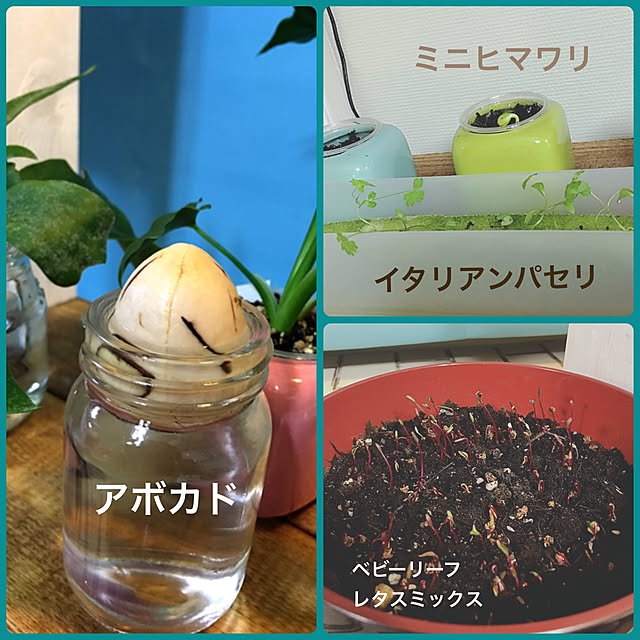 Satoshiさんの実例写真