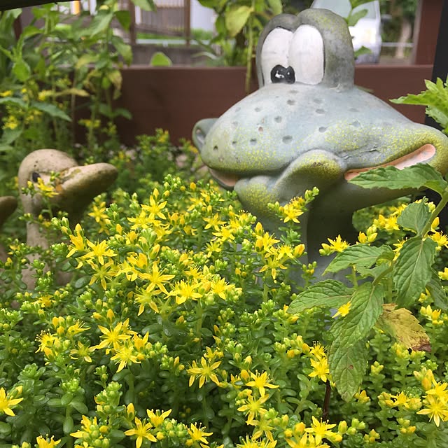 dola3685さんの実例写真