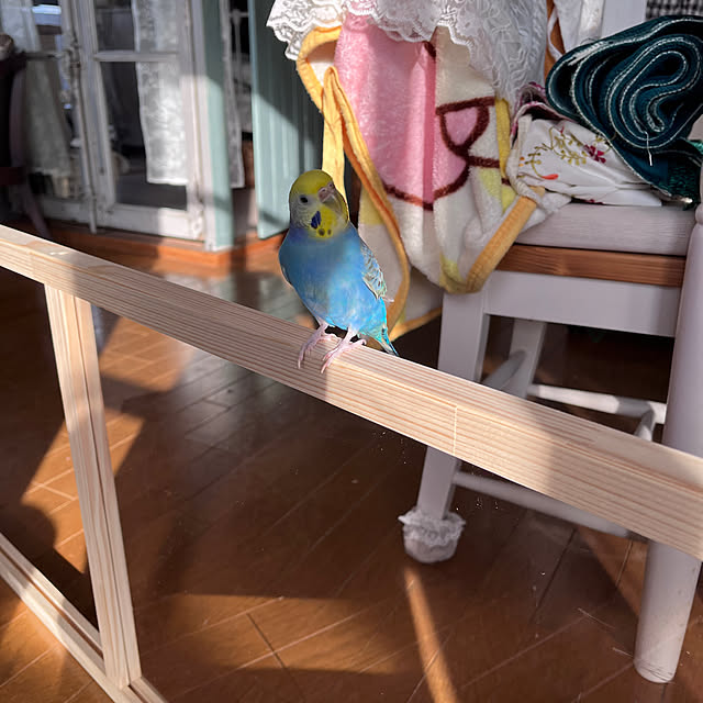 Atsukoさんの部屋