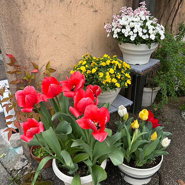 fumikoiさんの部屋