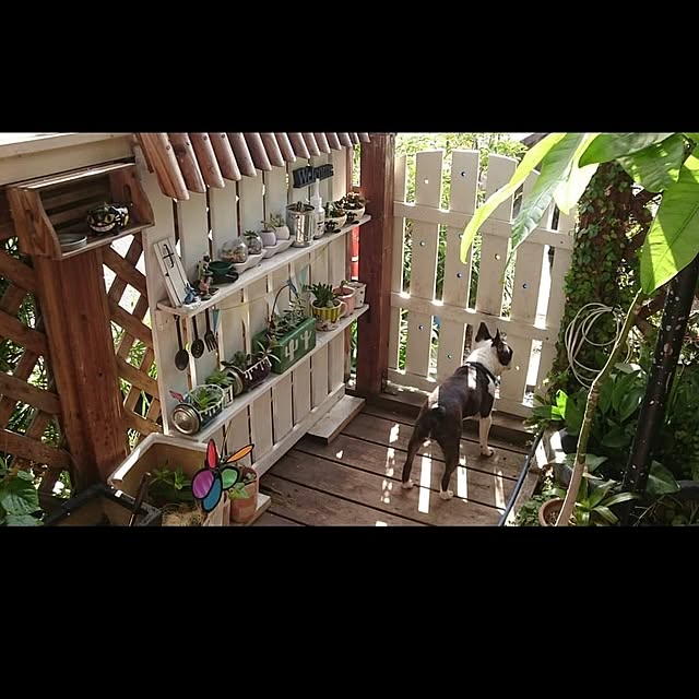 maiさんの部屋