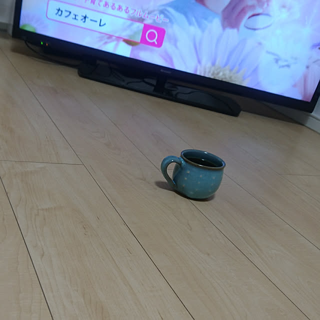 リビング/大東建託/大東建託 1LDK/新築/サンルームのインテリア実例 - 2018-10-20 13:13:29
