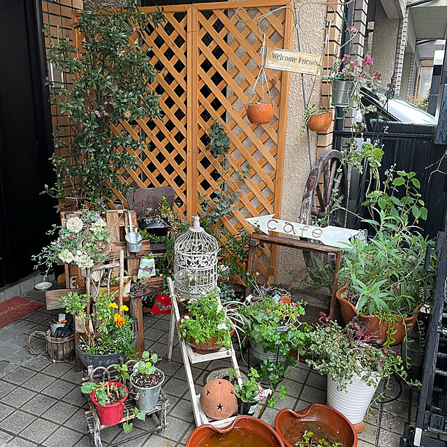 rorochimanさんの実例写真