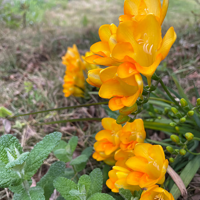 natsumiさんの部屋