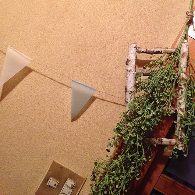 thityatyaさんの実例写真
