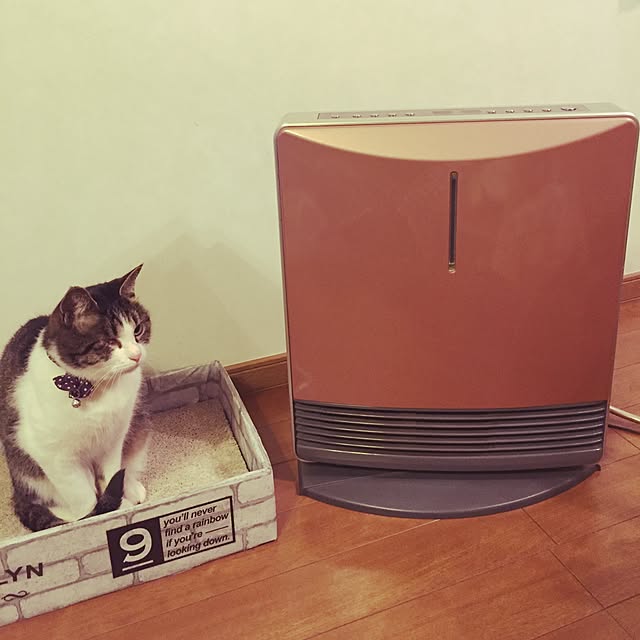 Rettiさんの実例写真