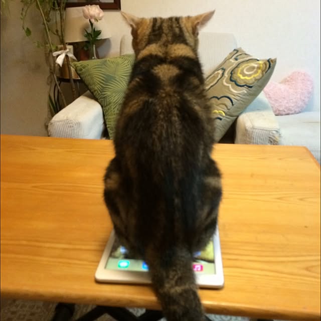 nanamanさんの実例写真