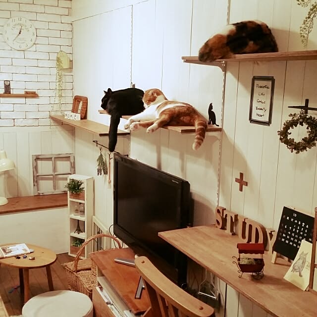 mikiさんの実例写真