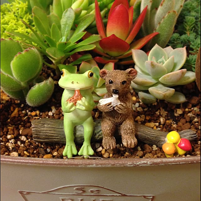 棚/多肉植物のインテリア実例 - 2016-03-14 23:41:13