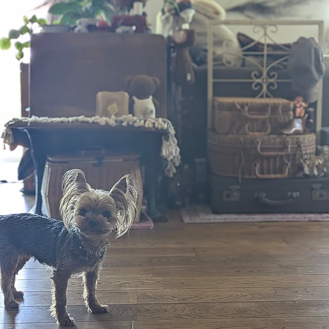 akiさんの部屋