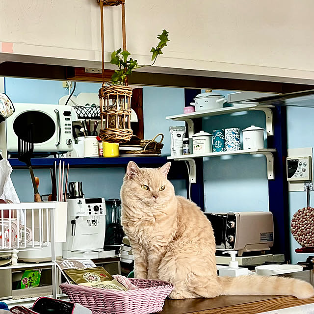 naokoさんの部屋
