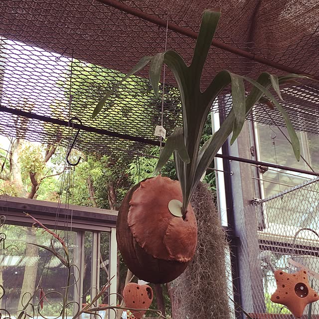 chiriruさんの実例写真