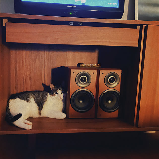 ttoさんの実例写真