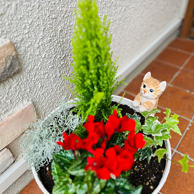 yuccoさんの部屋