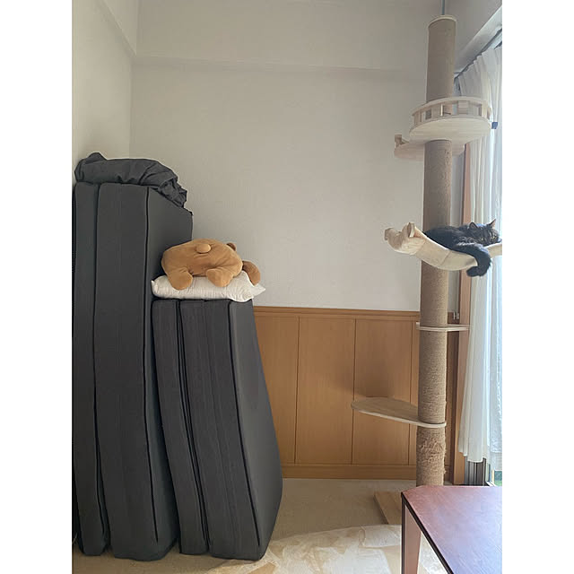 nocomomさんの実例写真