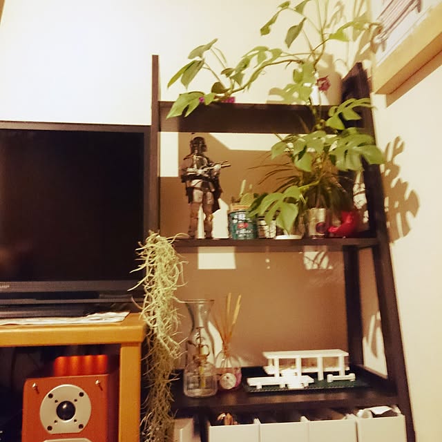 okkさんの実例写真