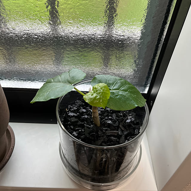 nachiさんの部屋