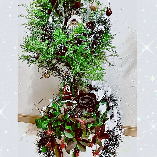 fuuさんの実例写真