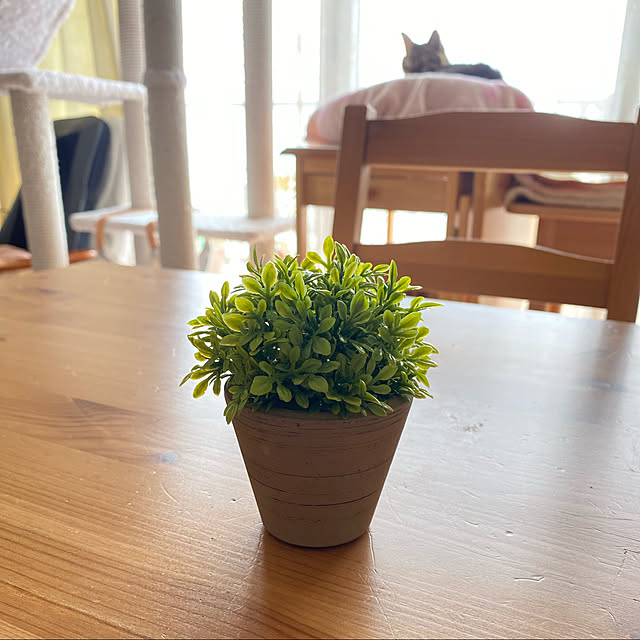 naturalさんの実例写真