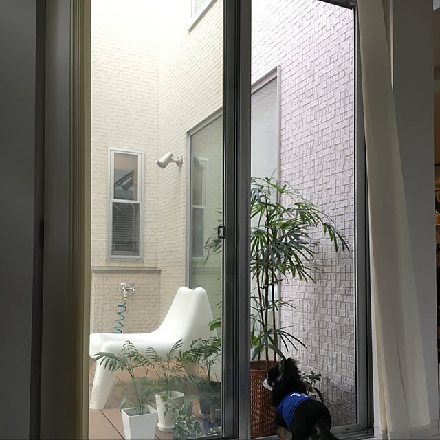Taekoさんの実例写真