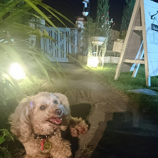 mocamamaさんの実例写真