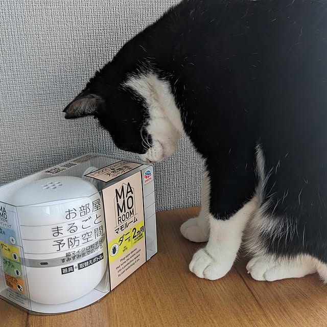 hihaさんの部屋