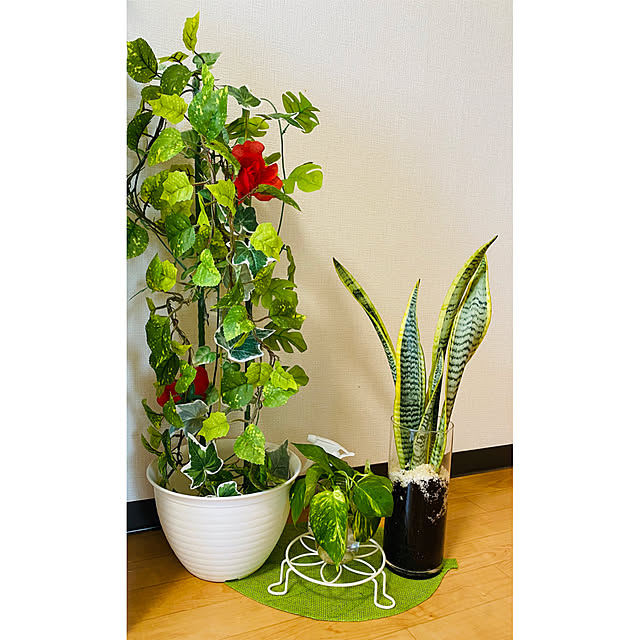 Akemiさんの実例写真