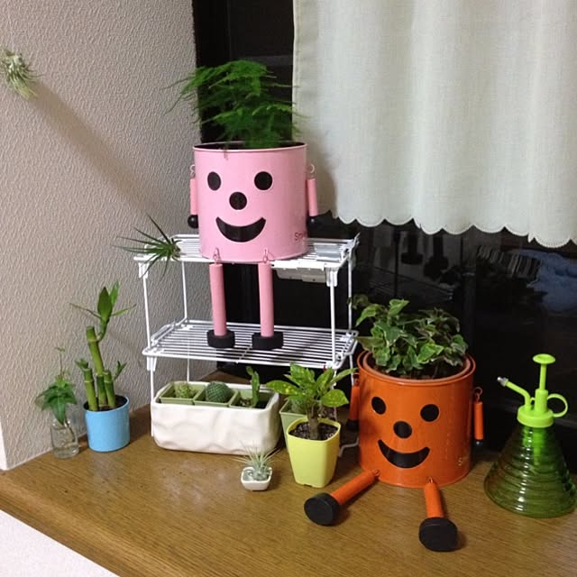 L.さんの実例写真