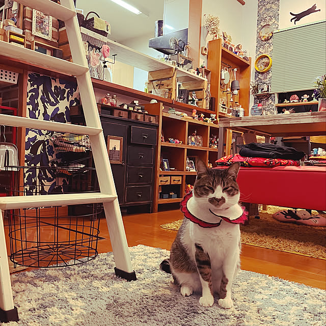 jijiさんの実例写真