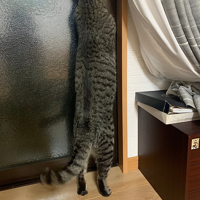 fukuさんの実例写真