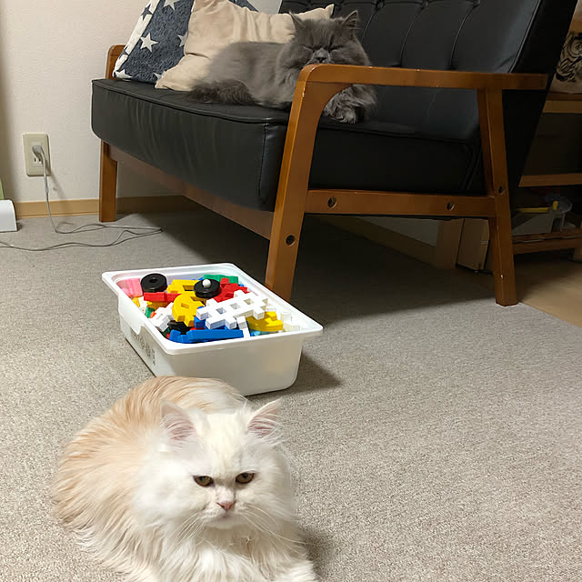 mimosaさんの実例写真