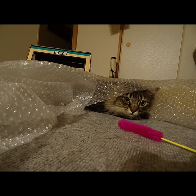 sachiblancさんの実例写真