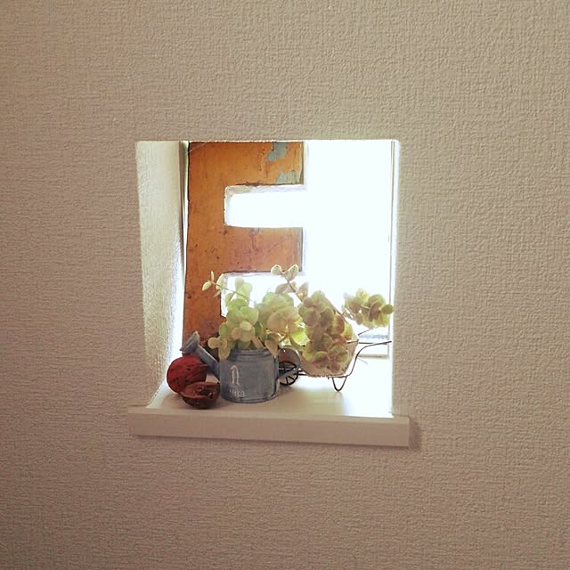 picchiさんの実例写真
