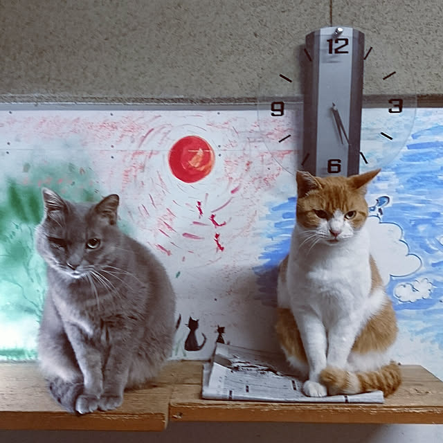 uchizukonyanさんの実例写真