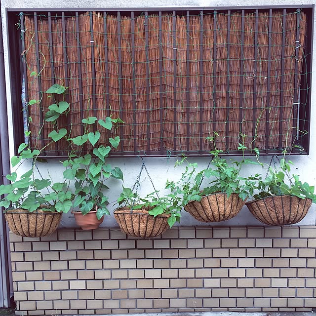 acicombさんの実例写真
