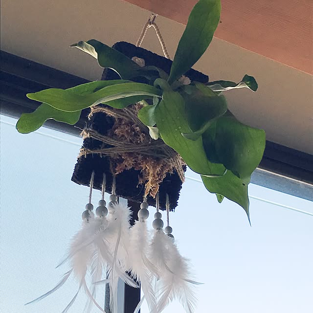 masu...さんの実例写真