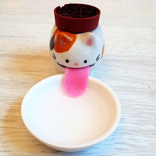 HappyRoseさんの実例写真